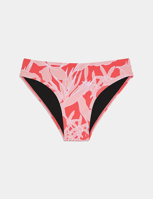 | Pink Hibiscus