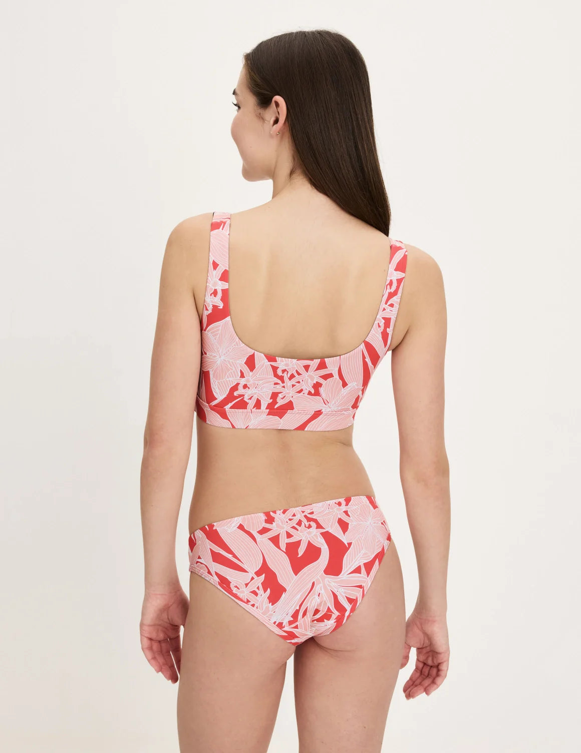 | Pink Hibiscus