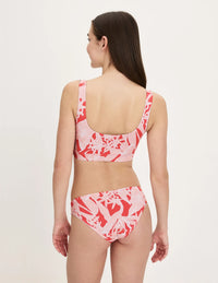 | Pink Hibiscus