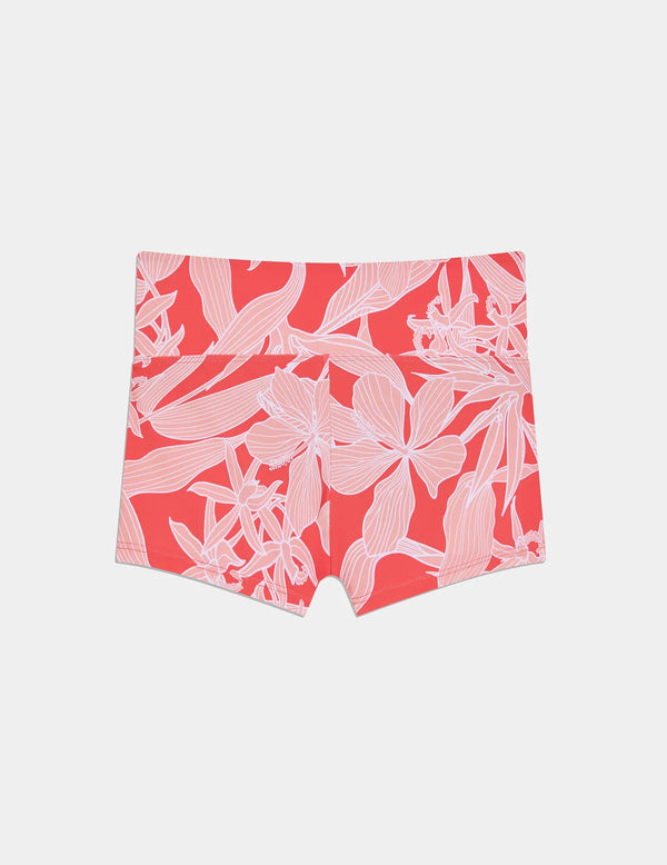 | Pink Hibiscus
