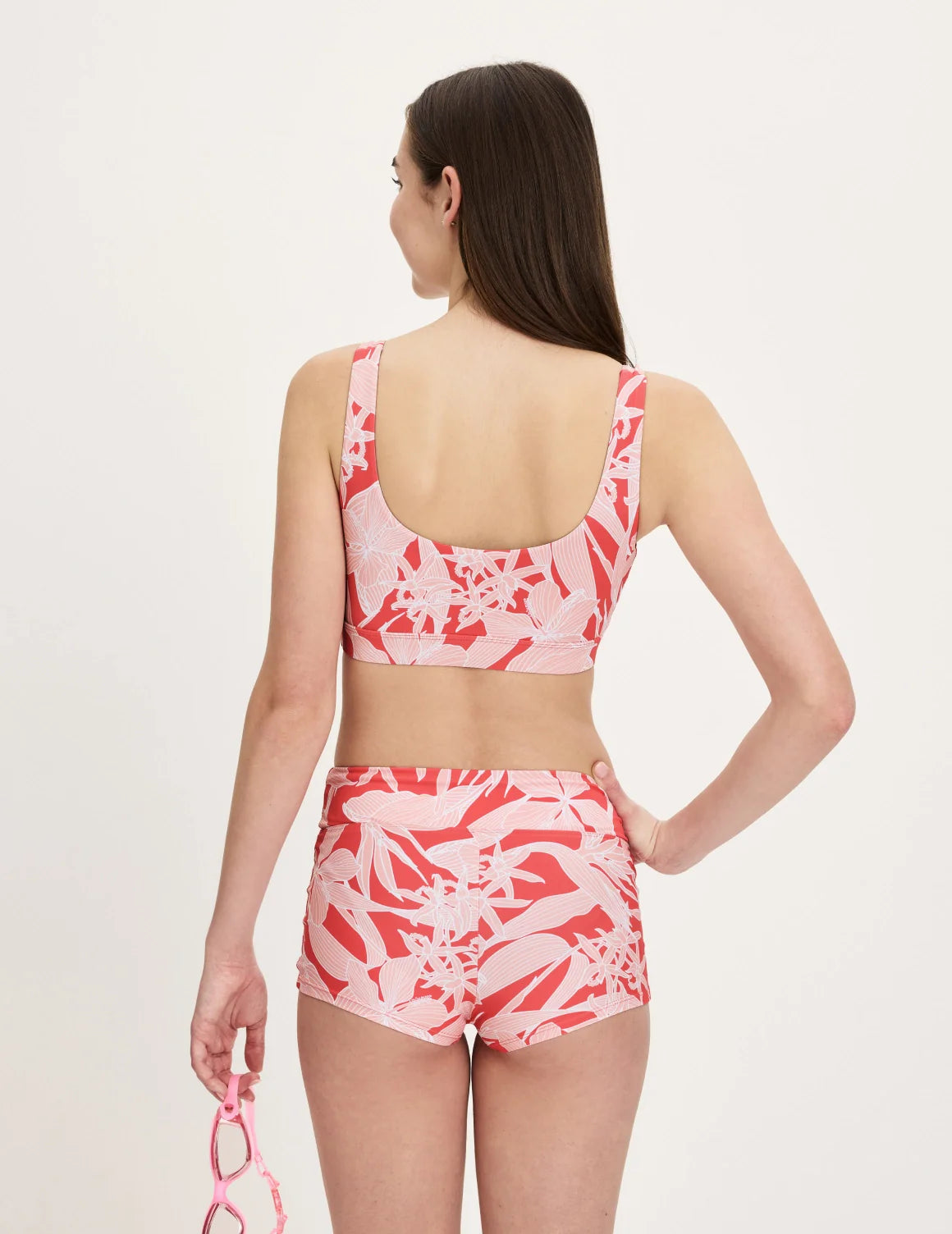 | Pink Hibiscus